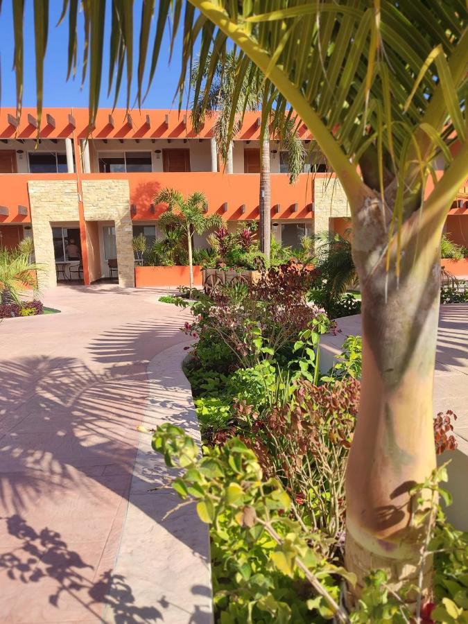 Hotel Mumai Ciudad Constitución エクステリア 写真
